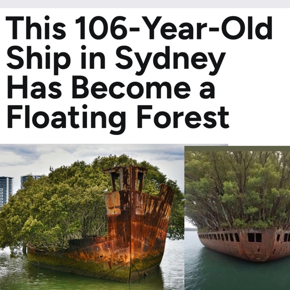 - #7 Follow Game 🐾🐶 - Picture 14 of 16